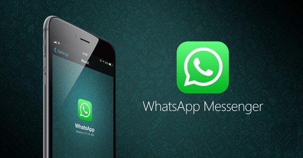 WhatsApp (imyfone.com)