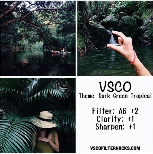 Dark Green Tropical (VSCO)
