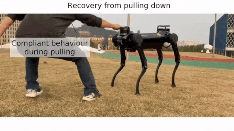 Robot anjing Jueying ini ditarik dan dijatuhkan (Endgadget)